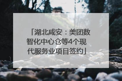 湖北咸安：美团数智化中心仓等4个现代服务业项目签约