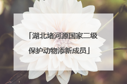 湖北堵河源国家二级保护动物添新成员