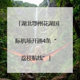 湖北鄂州花湖国际机场开通4条“荔枝航线”