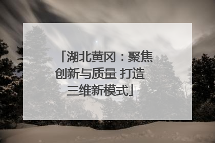 湖北黄冈：聚焦创新与质量 打造三维新模式