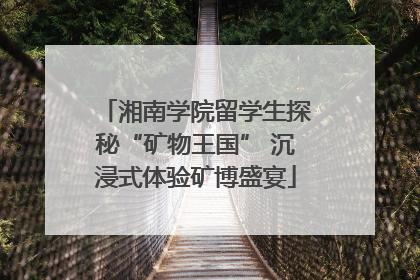 湘南学院留学生探秘“矿物王国” 沉浸式体验矿博盛宴