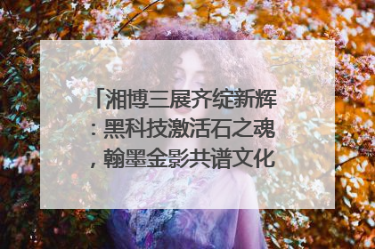湘博三展齐绽新辉：黑科技激活石之魂，翰墨金影共谱文化遗产日华章