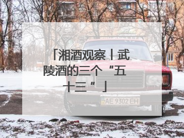湘酒观察丨武陵酒的三个“五十三 ”