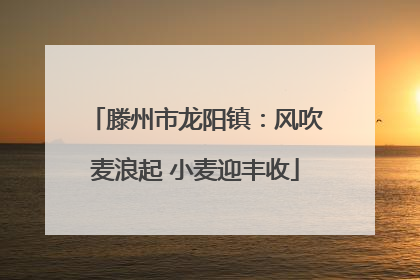 滕州市龙阳镇：风吹麦浪起 小麦迎丰收