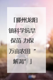 滕州龙阳镇科学抗旱保苗 力保万亩农田“解渴”