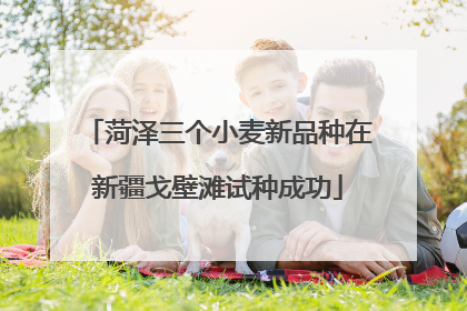 菏泽三个小麦新品种在新疆戈壁滩试种成功
