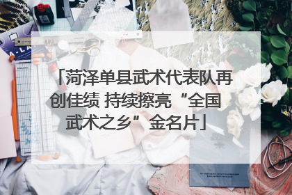 菏泽单县武术代表队再创佳绩 持续擦亮“全国武术之乡”金名片