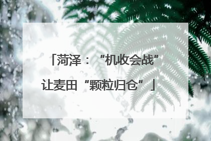 菏泽：“机收会战”让麦田“颗粒归仓”