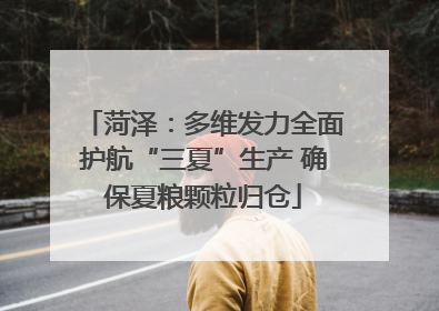 菏泽：多维发力全面护航“三夏”生产 确保夏粮颗粒归仓