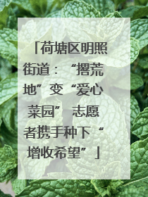 荷塘区明照街道：“撂荒地”变“爱心菜园” 志愿者携手种下“增收希望”