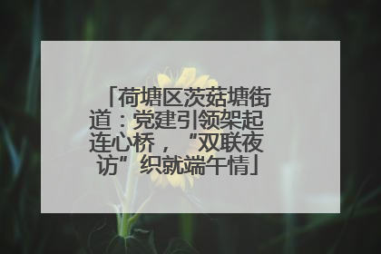 荷塘区茨菇塘街道：党建引领架起连心桥，“双联夜访”织就端午情