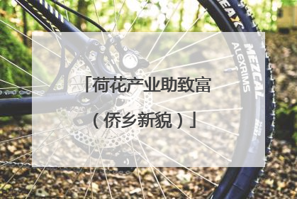 荷花产业助致富（侨乡新貌）