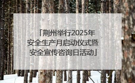 荆州举行2025年安全生产月启动仪式暨安全宣传咨询日活动