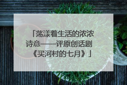 荡漾着生活的浓浓诗意——评原创话剧《买河村的七月》