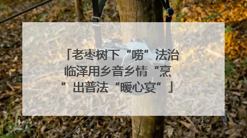 老枣树下“唠”法治 临泽用乡音乡情“烹”出普法“暖心宴”