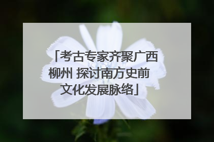 考古专家齐聚广西柳州 探讨南方史前文化发展脉络