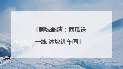 聊城临清：西瓜送一线 冰块进车间