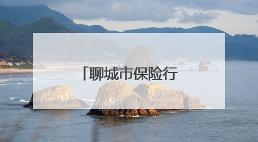 聊城市保险行业协会开展保护消费者合法权益主题宣传活动