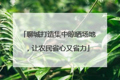 聊城打造集中晾晒场地，让农民省心又省力
