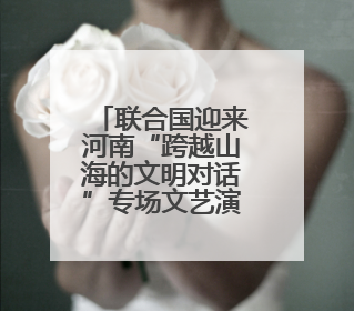 联合国迎来河南“跨越山海的文明对话”专场文艺演出