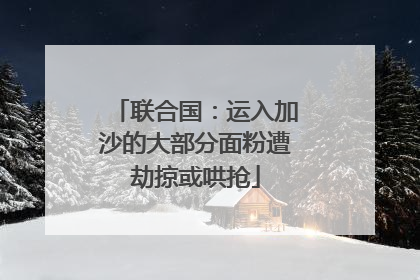 联合国：运入加沙的大部分面粉遭劫掠或哄抢
