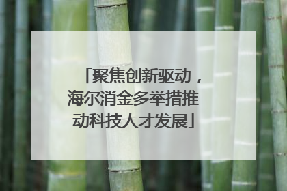 聚焦创新驱动，海尔消金多举措推动科技人才发展