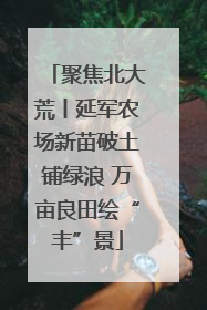 聚焦北大荒丨延军农场新苗破土铺绿浪 万亩良田绘“丰”景