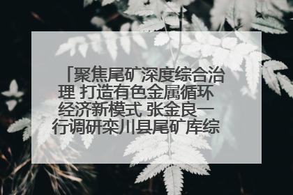聚焦尾矿深度综合治理 打造有色金属循环经济新模式 张金良一行调研栾川县尾矿库综合治理工作