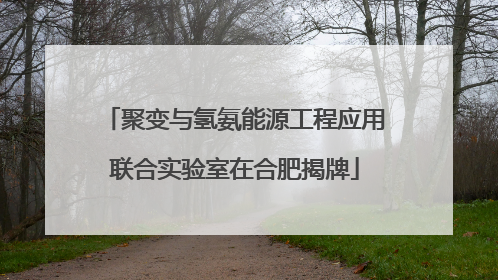 聚变与氢氨能源工程应用联合实验室在合肥揭牌