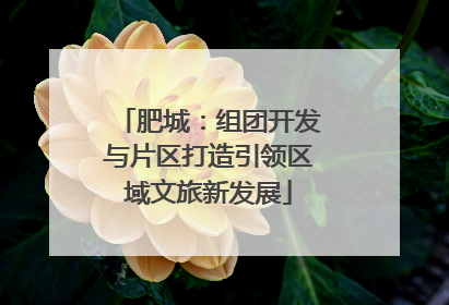 肥城：组团开发与片区打造引领区域文旅新发展