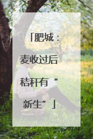肥城：麦收过后秸秆有“新生”