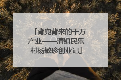 背兜背来的千万产业——清镇民乐村杨敏珍创业记