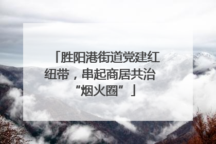 胜阳港街道党建红纽带，串起商居共治 “烟火圈”