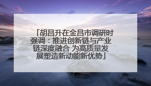 胡昌升在金昌市调研时强调：推进创新链与产业链深度融合 为高质量发展塑造新动能新优势