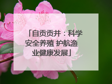 自贡贡井：科学安全养殖 护航渔业健康发展