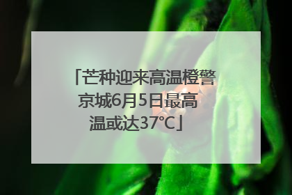 芒种迎来高温橙警 京城6月5日最高温或达37℃