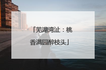 芜湖湾沚：桃香满园醉枝头