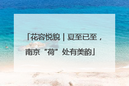 花容悦貌｜夏至已至，南京“荷”处有美韵