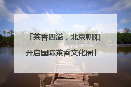 茶香四溢，北京朝阳开启国际茶香文化周