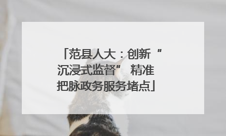 范县人大：创新“沉浸式监督” 精准把脉政务服务堵点