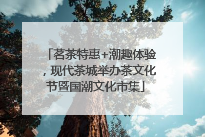 茗茶特惠+潮趣体验，现代茶城举办茶文化节暨国潮文化市集