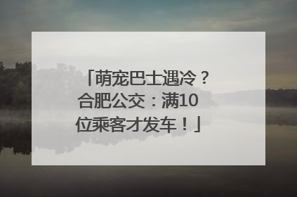 萌宠巴士遇冷？合肥公交：满10位乘客才发车！