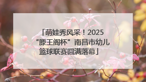 萌娃秀风采！2025“滕王阁杯”南昌市幼儿篮球联赛圆满落幕