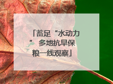 蓄足“水动力” 多地抗旱保粮一线观察