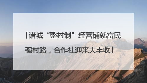 诸城“整村制”经营铺就富民强村路，合作社迎来大丰收