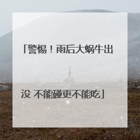 警惕！雨后大蜗牛出没 不能碰更不能吃