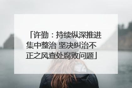 许勤：持续纵深推进集中整治 坚决纠治不正之风查处腐败问题