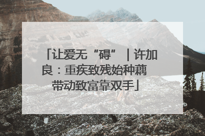 让爱无“碍”｜许加良：重疾致残始种藕 带动致富靠双手