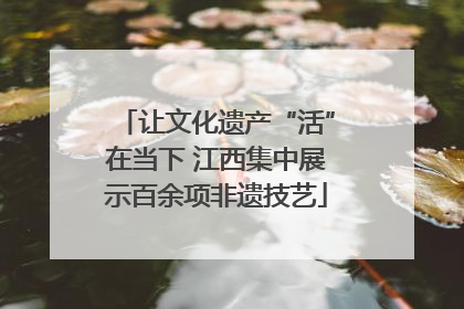让文化遗产“活”在当下 江西集中展示百余项非遗技艺