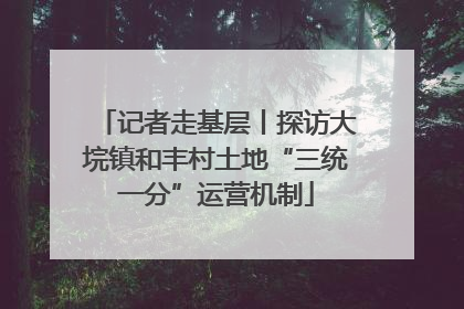 记者走基层丨探访大垸镇和丰村土地“三统一分”运营机制